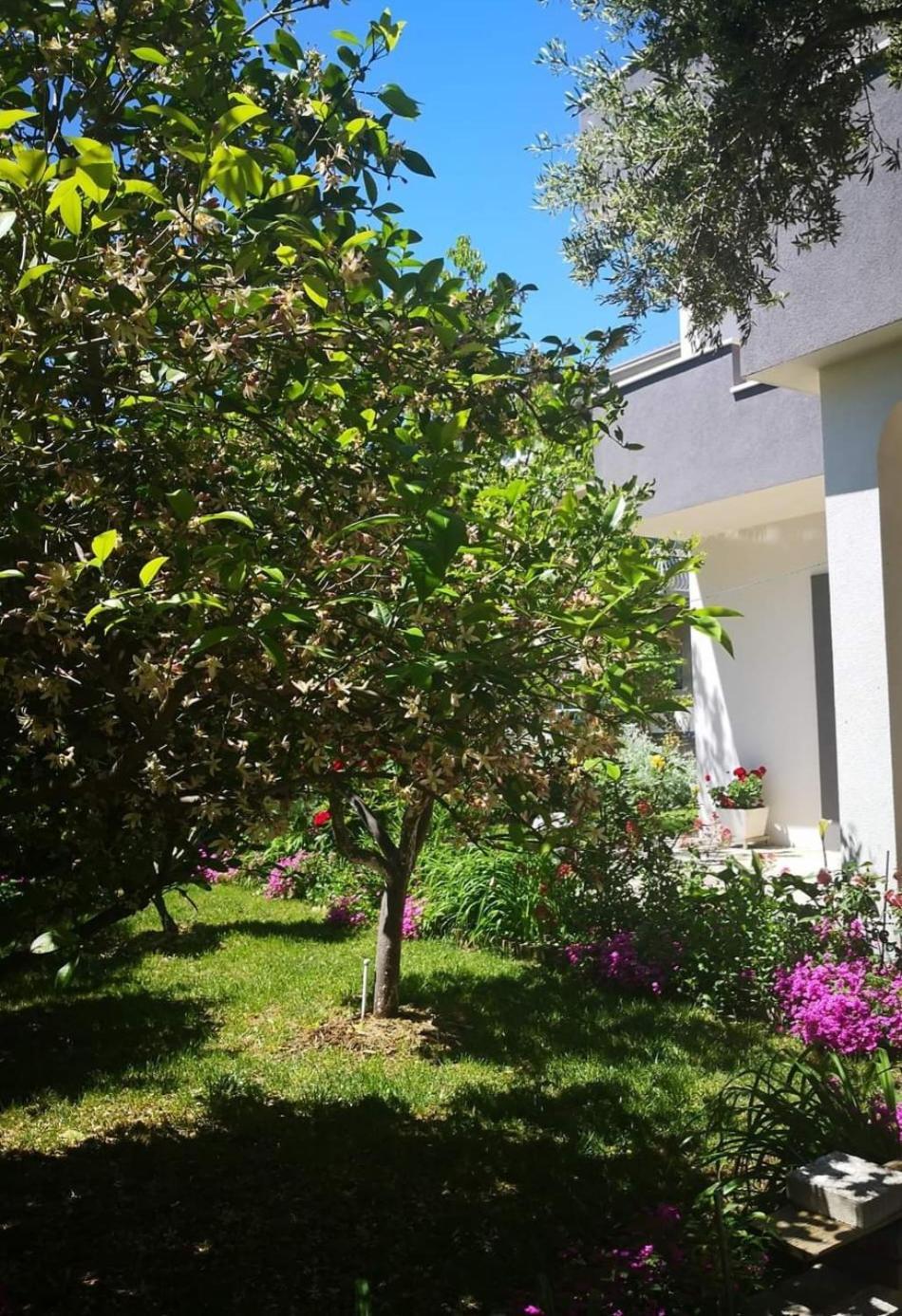 Apartmani Dianna Kaštela Esterno foto